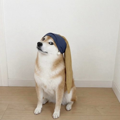 Momo dressed as Girl with a Pearl Earring
